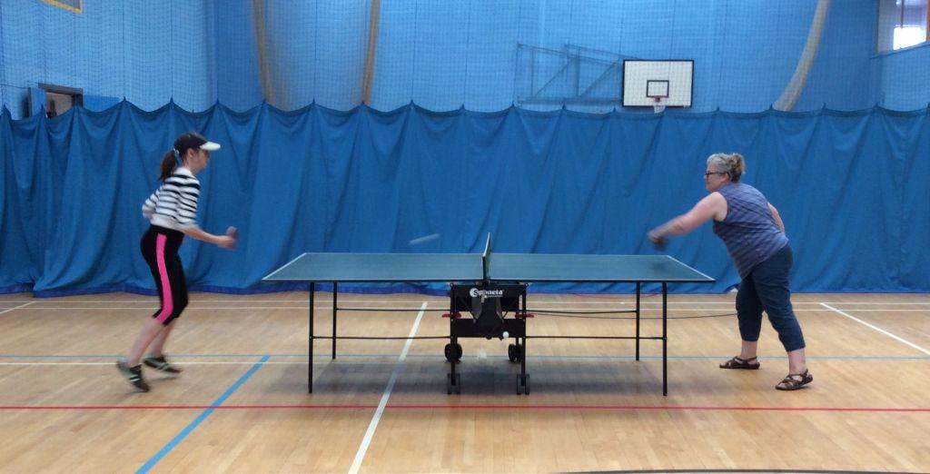 Living Tree Table Tennis